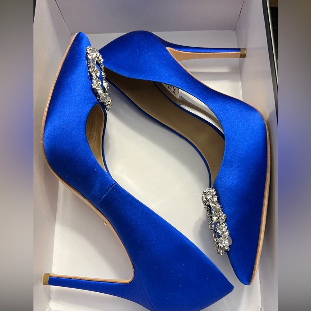Used Bradley Mischka Collection - Cher Crystal Embellished Pump. Size 7.5